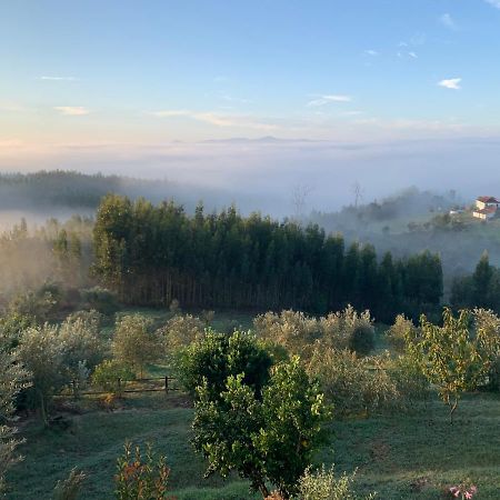 Quinta Lagares Hotel Penacova Buitenkant foto
